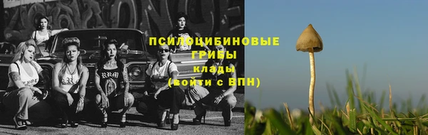 соль курить ск Сосновка