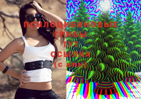 круглые Белокуриха