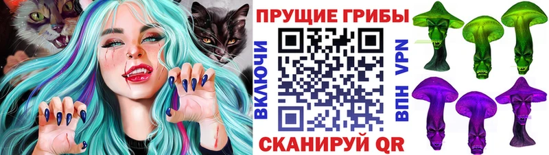 Псилоцибиновые грибы MAGIC MUSHROOMS  где купить наркоту  Шагонар 