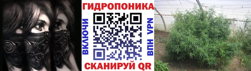Шишки марихуана THC 21%  Шагонар 